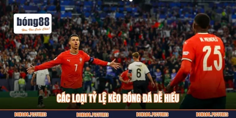 Các loại tỷ lệ kèo bóng đá dễ hiểu