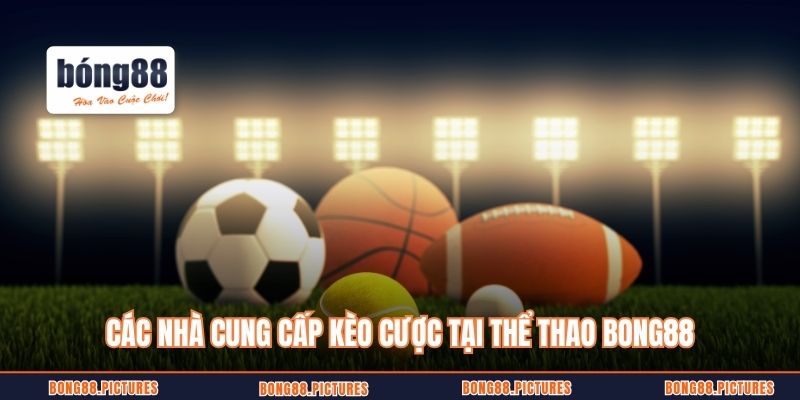 Các nhà cung cấp kèo cược tại thể thao Bong88