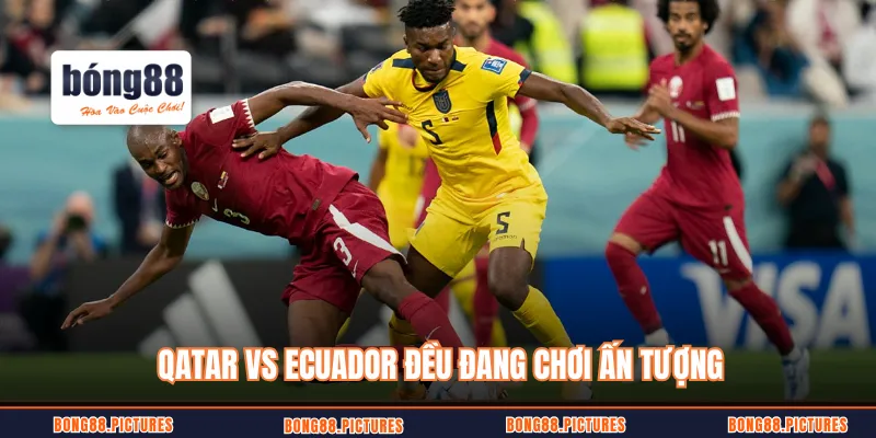 Qatar vs Ecuador đều đang chơi ấn tượng