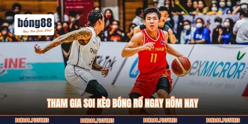 Tham gia soi kèo bóng rổ ngay hôm nay