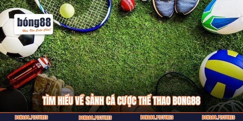 Tìm hiểu về sảnh cá cược thể thao Bong88