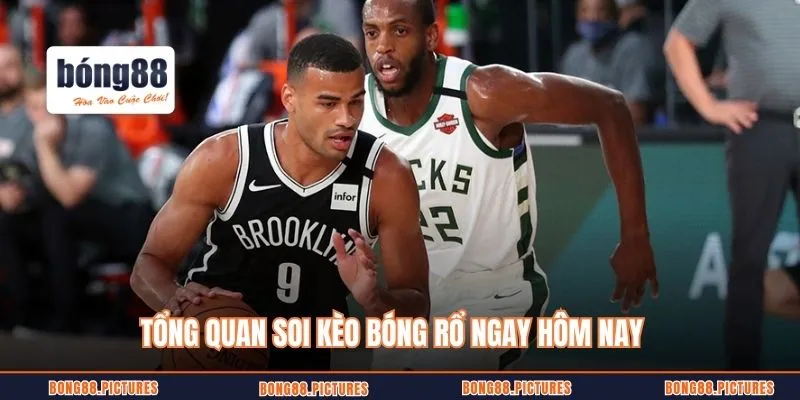 Tổng quan soi kèo bóng rổ ngay hôm nay